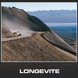 Kenworth T800 longevité